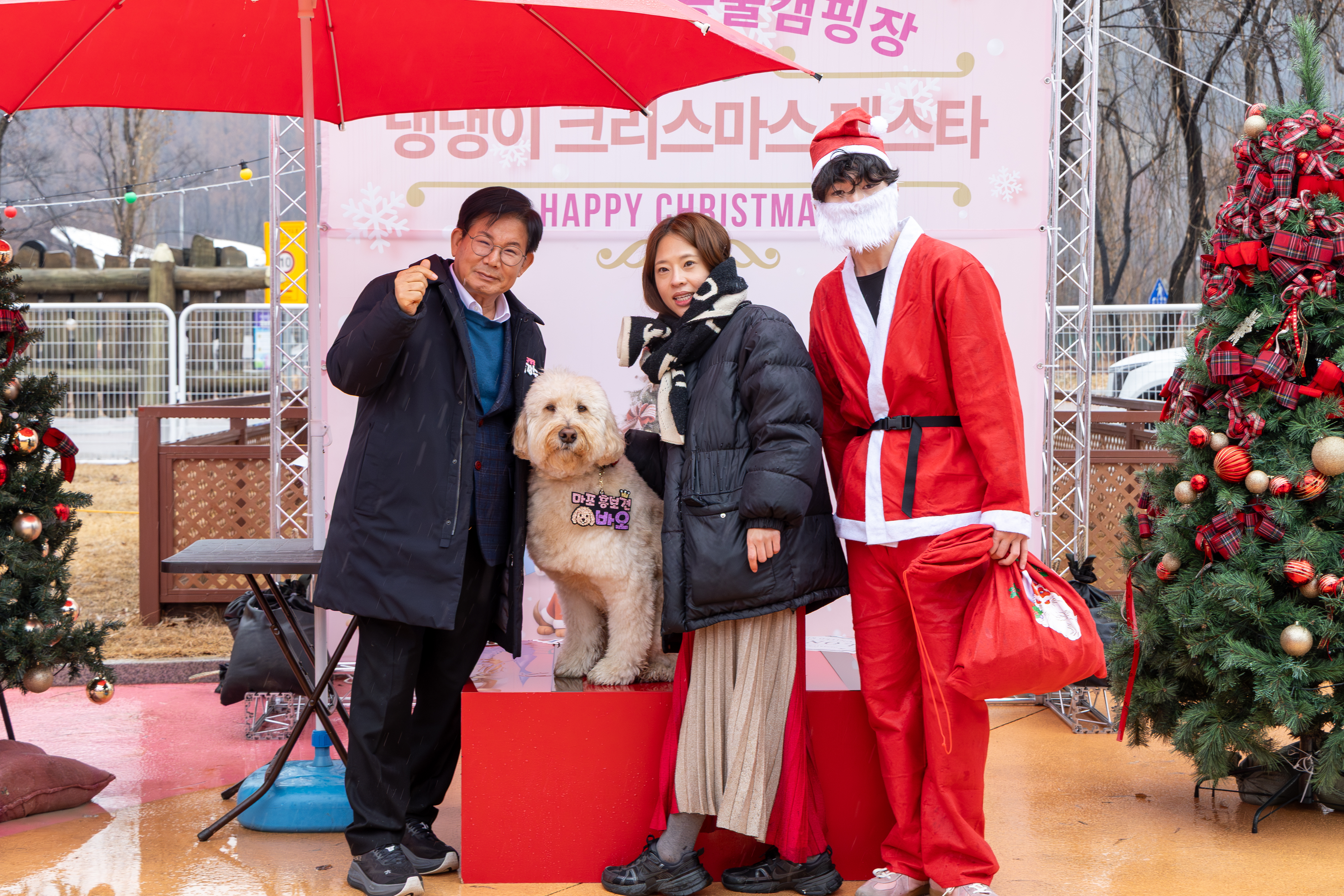 사람도 웃고 댕댕이도 웃는 도시…마포의 반려동물 정책 이야기