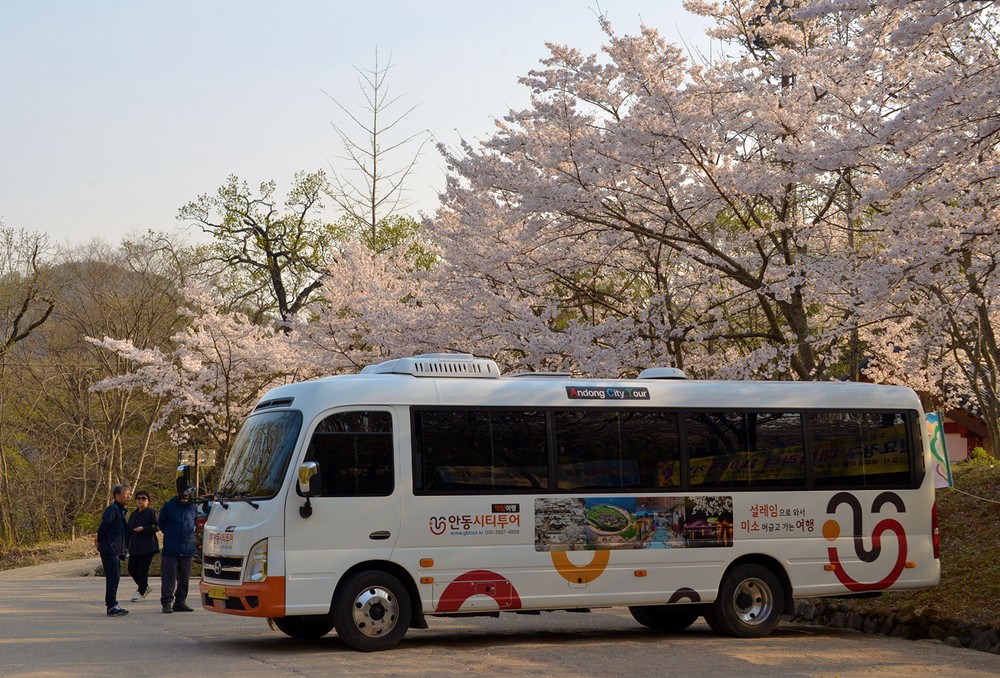 안동시티투어 버스 3월부터 본격 운행