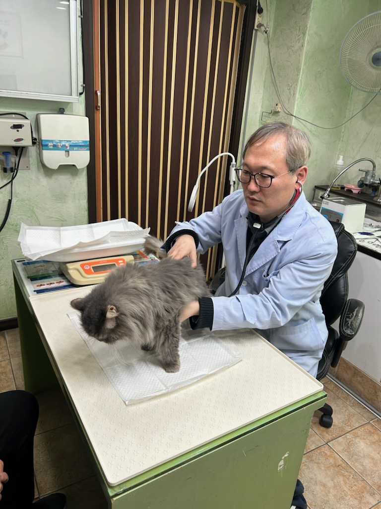 강북구, 반려동물 의료비 부담 덜어주는 ‘우리동네 동물병원’ 운영