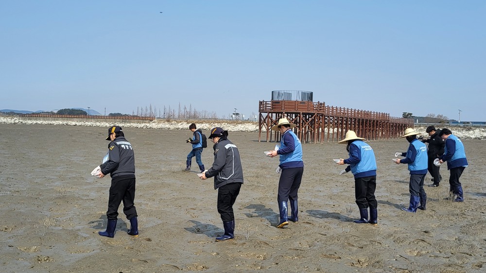 부안군‧포스코이엔씨‧부안해경‧월드비전, 갯벌 생태계 복원 염생식물 파종