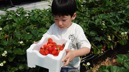부여 서울농장, 도시민과 농촌의 만남으로 생활인구 유입 이끈다