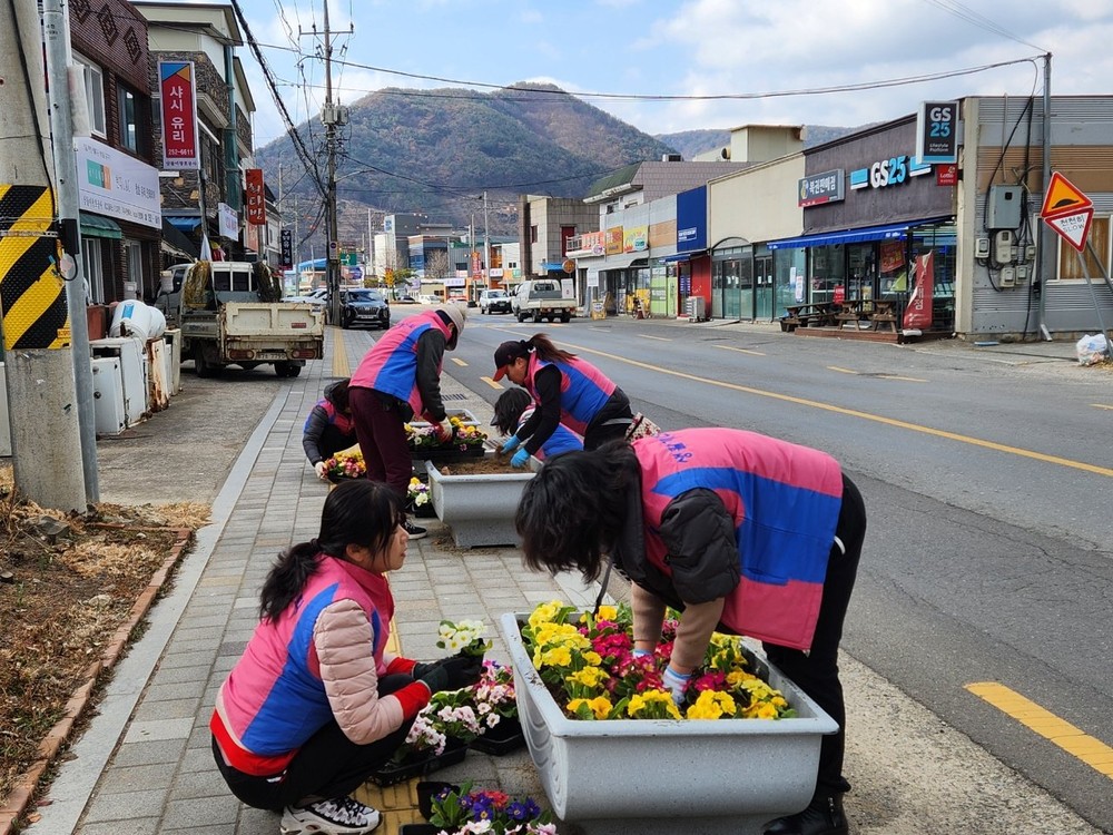 밀양시 무안면, 봄꽃 식재로 쾌적한 마을환경 조성