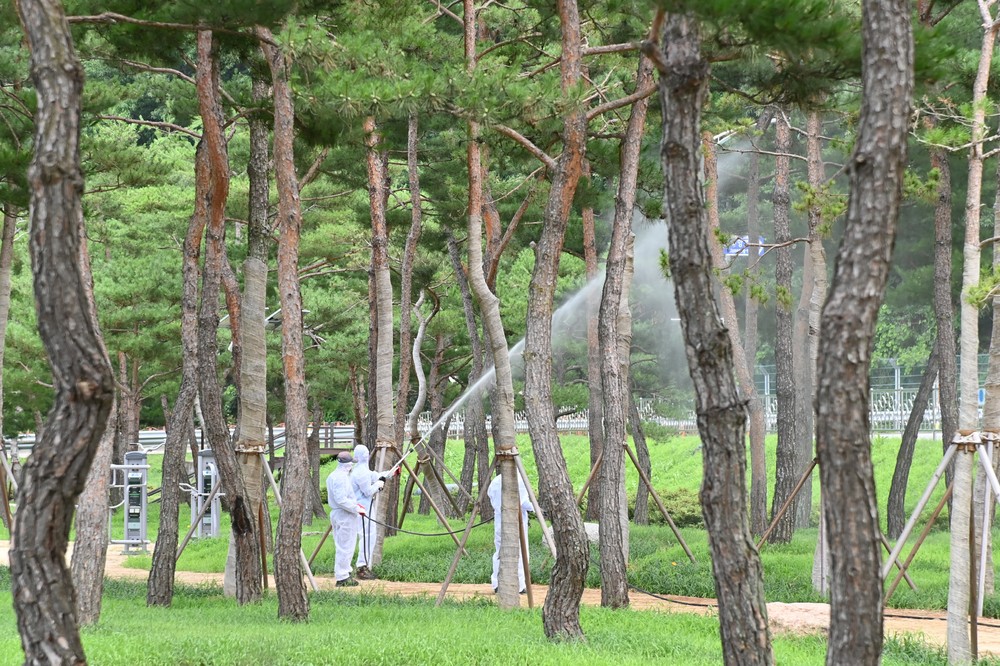 산소카페 청송군, 2026 산림정책 발표