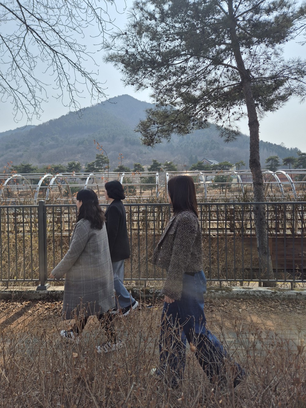 괴산군 ‘걷다보니 통장부자’ 인기 군민3천4백여 명 참여