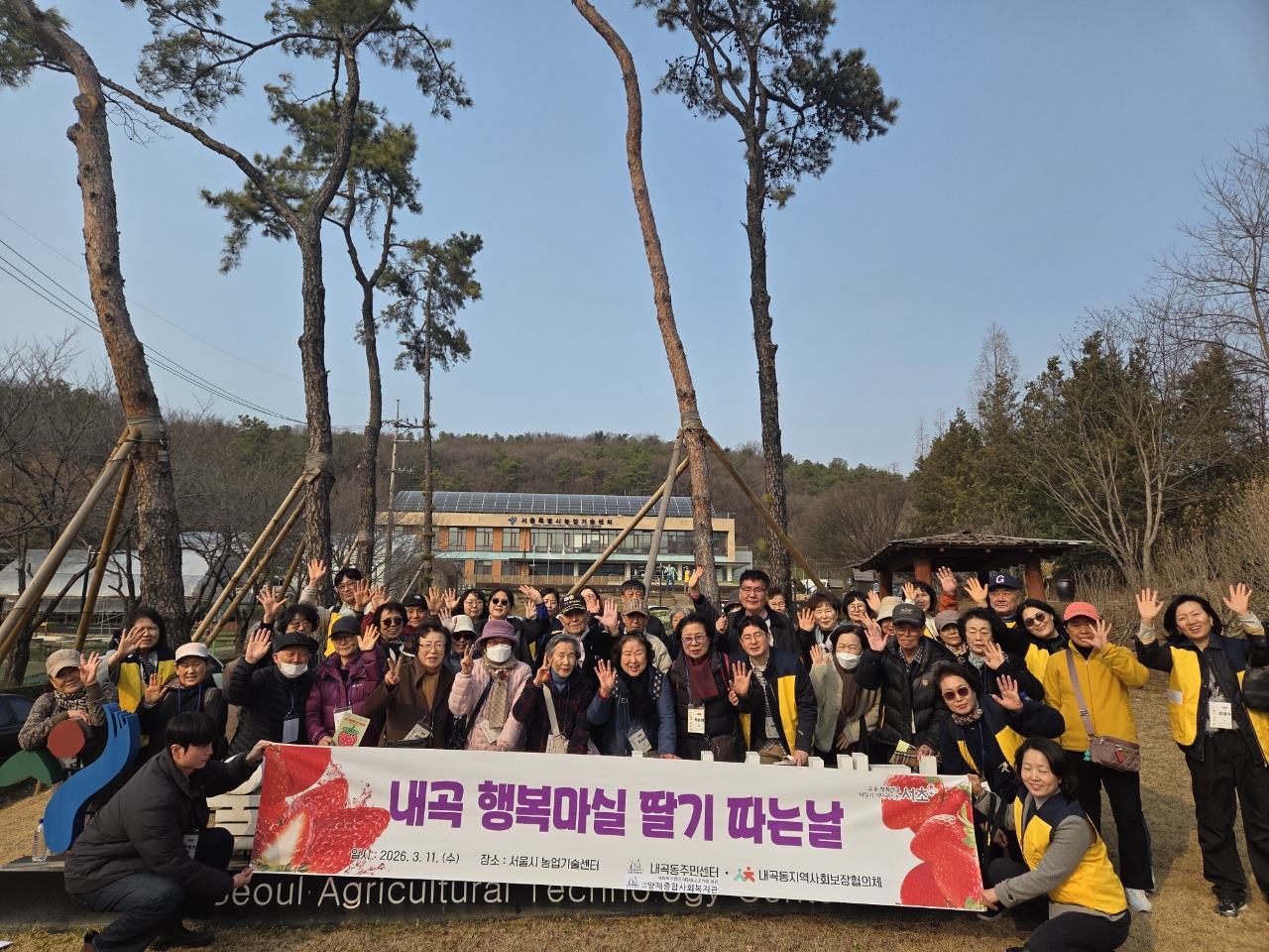 서초구 어르신, 내곡동 봄 마실서 딸기 따고 행복 충전