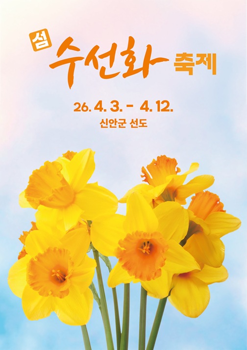 신안군 선도, 섬 전체를 황금빛으로 물들인 ‘2026 섬 수선화 축제’ 개막