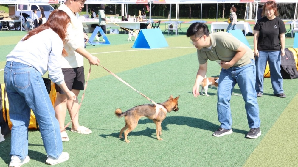 포항시, 반려동물 문화교실 ‘포항서당개’ 운영…성숙한 반려문화 확산