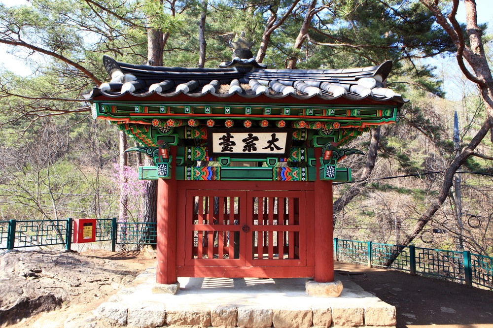 횡성군, 전 군민 ‘자전거 사고 보험’ 자동 가입…안전망 강화