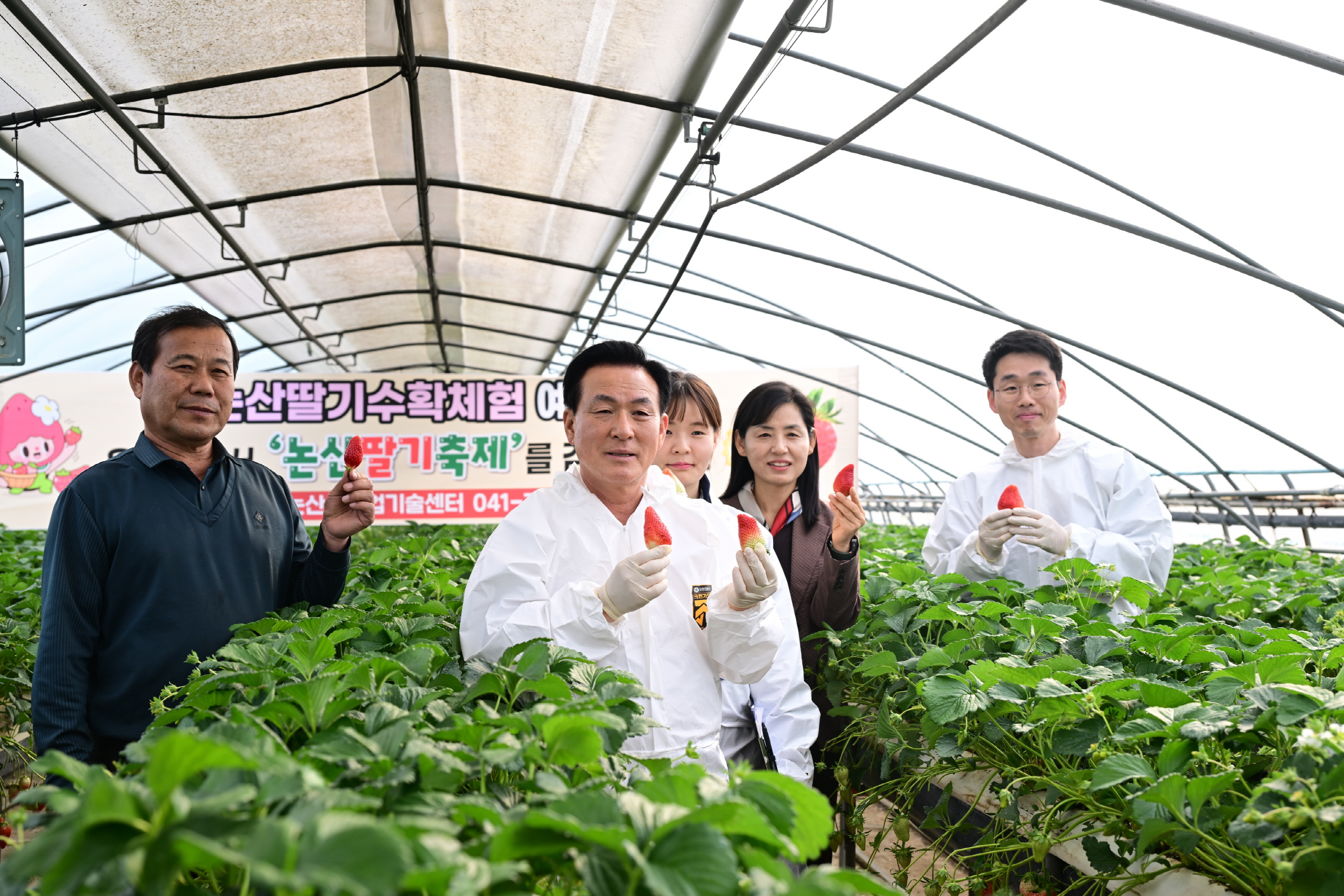 논산시, 논산딸기축제 앞두고 현장 안전성 점검 실시