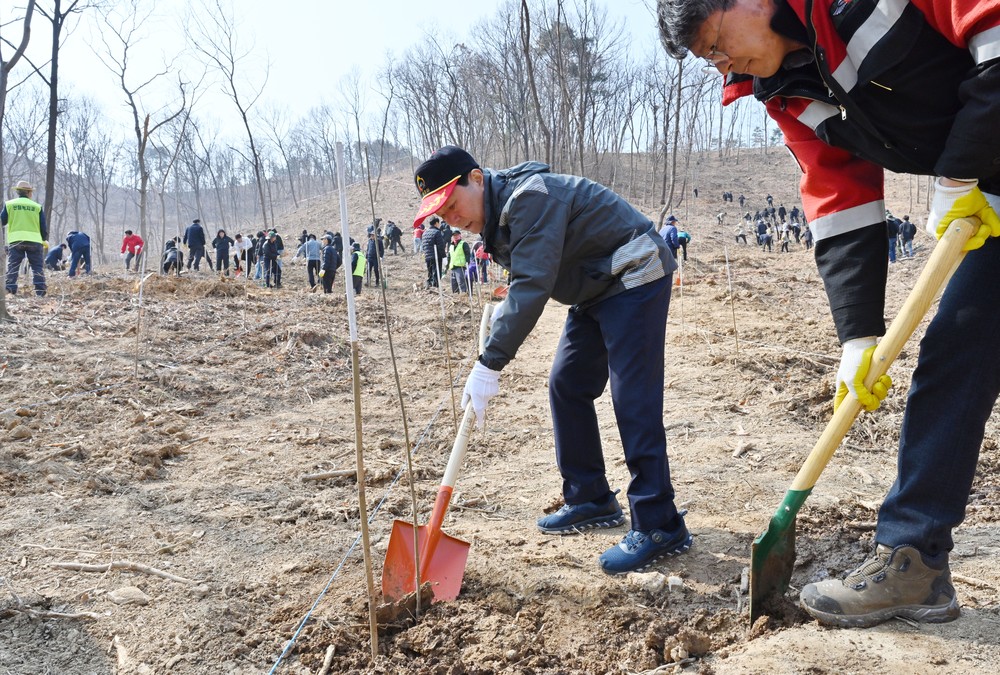 창녕군, 제81회 식목일 기념 나무심기 행사 개최