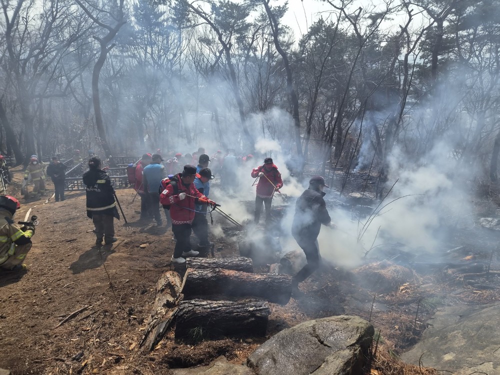 수원특례시, 대형산불 특별대책기간 돌입…산불 가해자는 고의·실수 불문하고 엄정 처벌