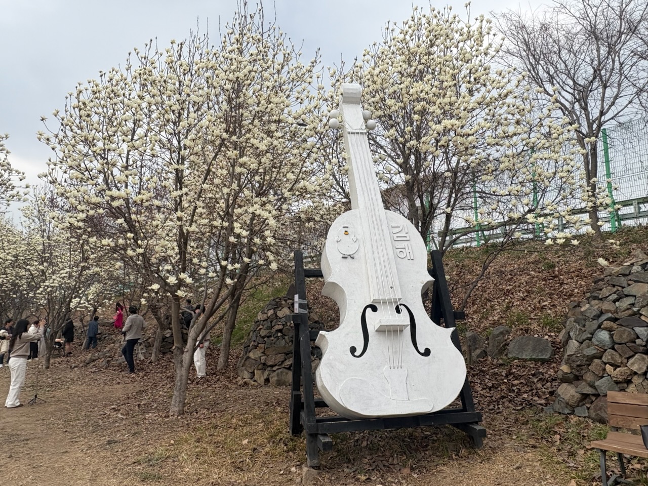 김해 시민의 숲, 목련 만개 앞두고 관람객 맞이 준비