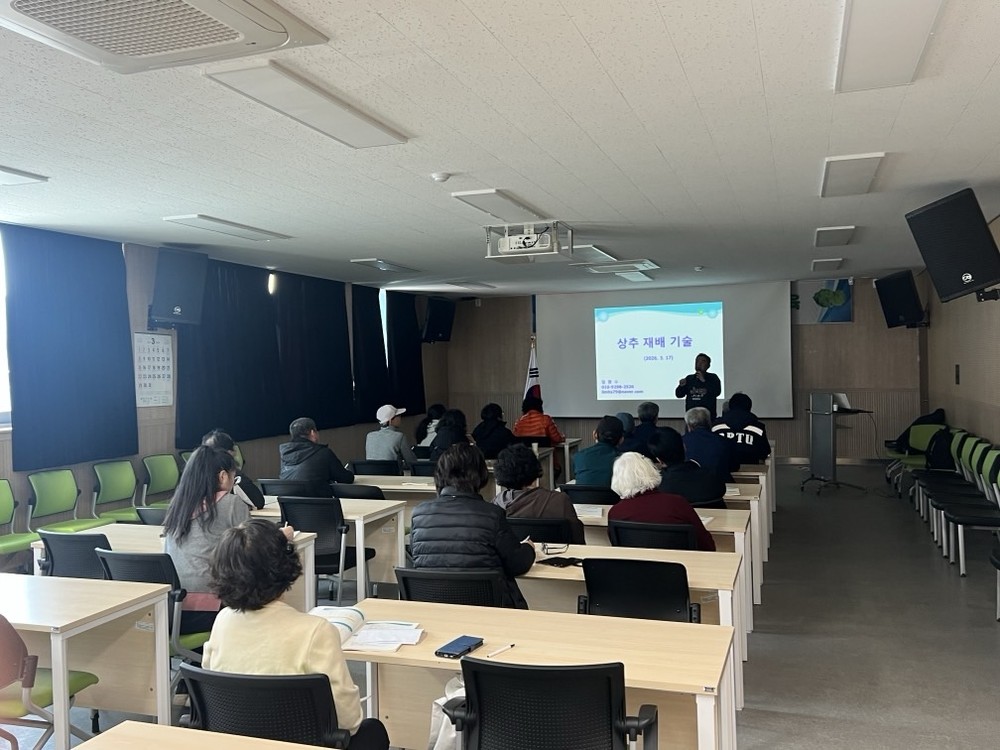 장수군, 번암면 농업인 대상 상추 재배기술 교육 추진