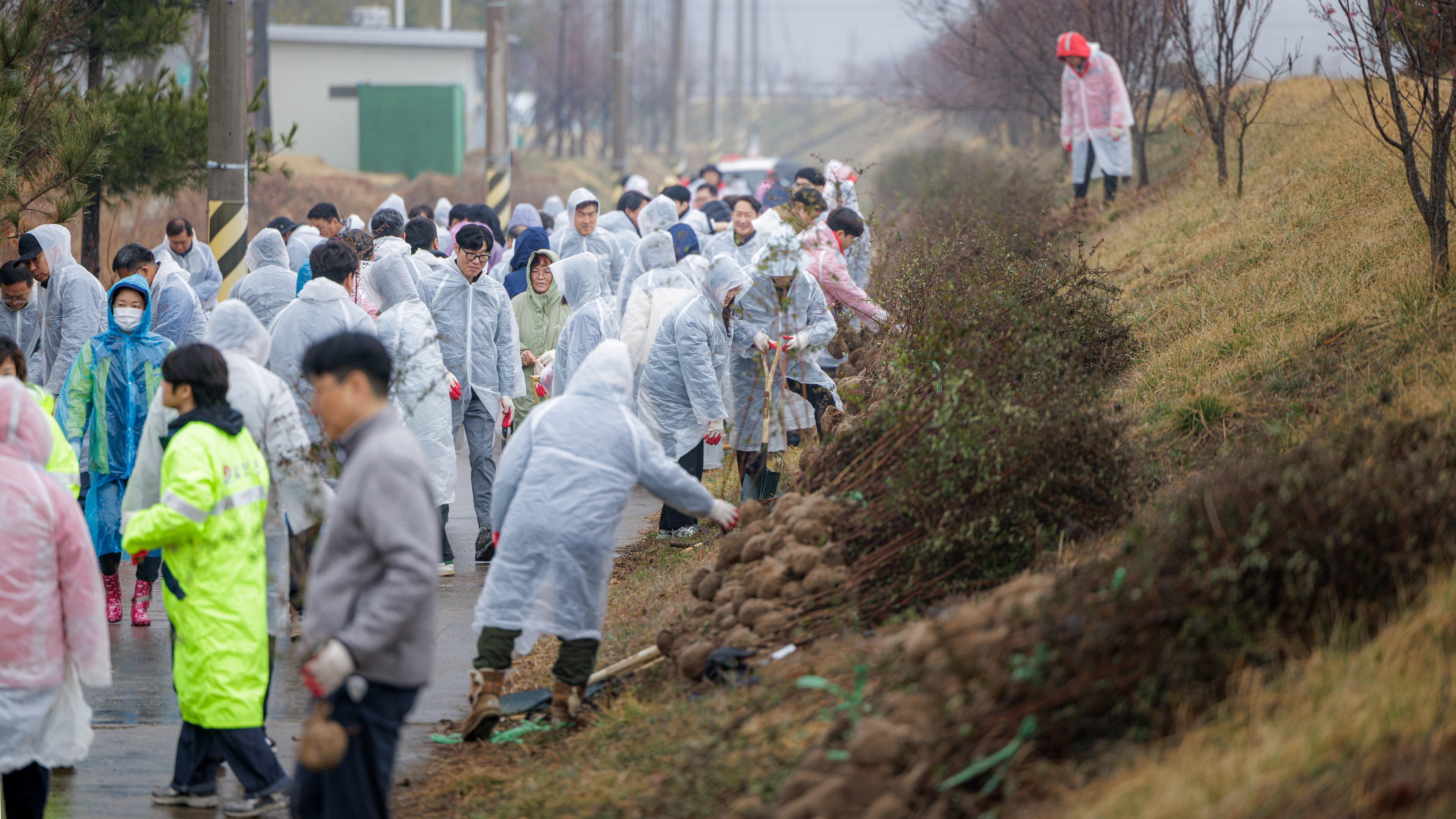 합천군, ‘제81회 식목일 나무심기 행사’ 개최
