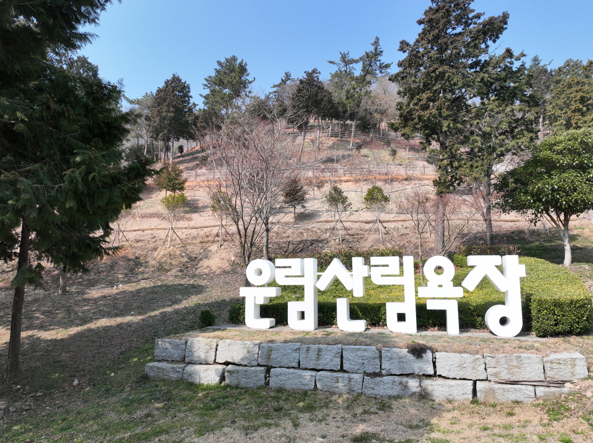 진도군, 산림욕장 내 생태탐방로에 ‘봄을 알리는 꽃 만개’