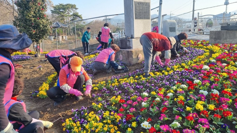 삼랑진읍, 딸기향과 꽃향기로 물들다…축제 앞두고 ‘봄맞이 대단장’