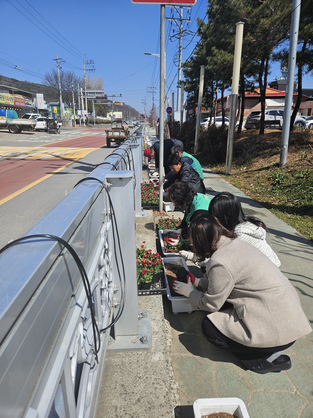 쌍림면, 대가야축제 맞이 꽃길 조성