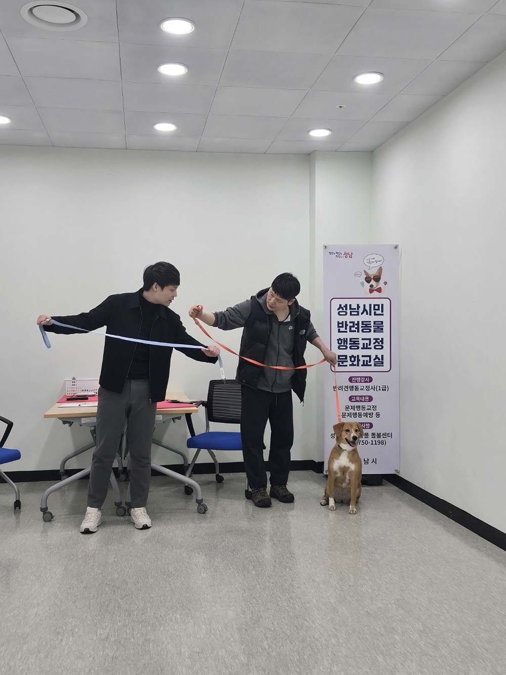 성남시 전문 훈련사가 반려견 행동 교정…필요시 자택 방문