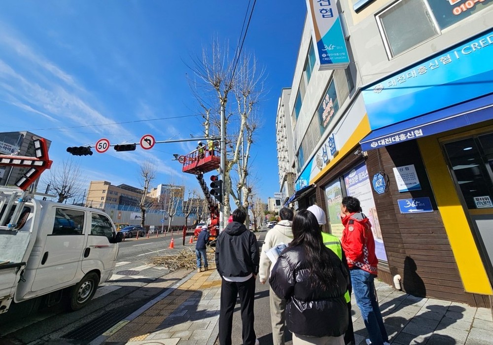 대전 중구, 봄맞이 가로수 전정 실시
