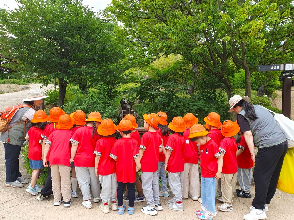 속초시, 2026년 상반기 숲체험 교실 신청 접수