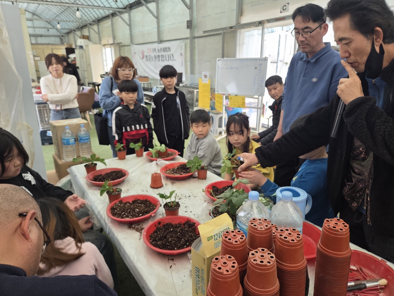 함안군 드림스타트, ‘딸기농장 체험 프로그램’ 실시