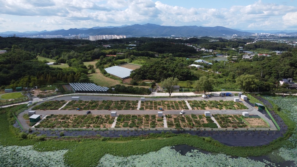 경산시, 도시농업 공영농장 개장, 시민 호응 기대