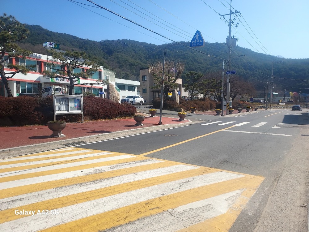 2026년 덕곡면 봄맞이 꽃 식재