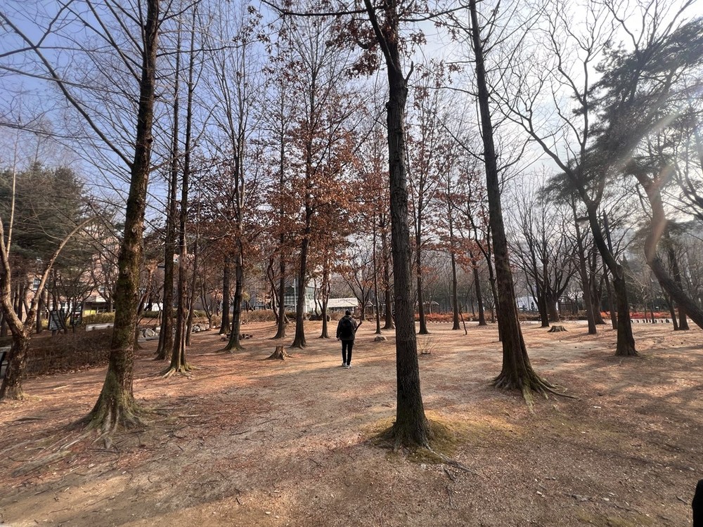 강남구, 식목일 맞아 ‘참여의 정원 숲’ 조성 행사 개최