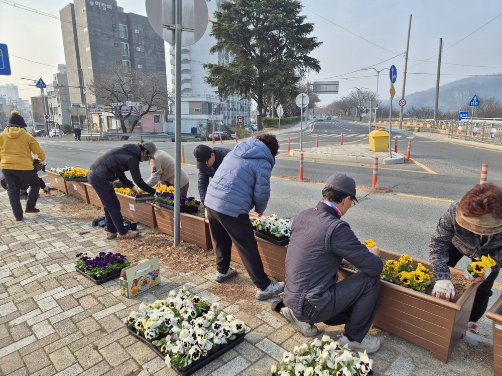 가곡동, 봄꽃 식재로 가로경관 개선