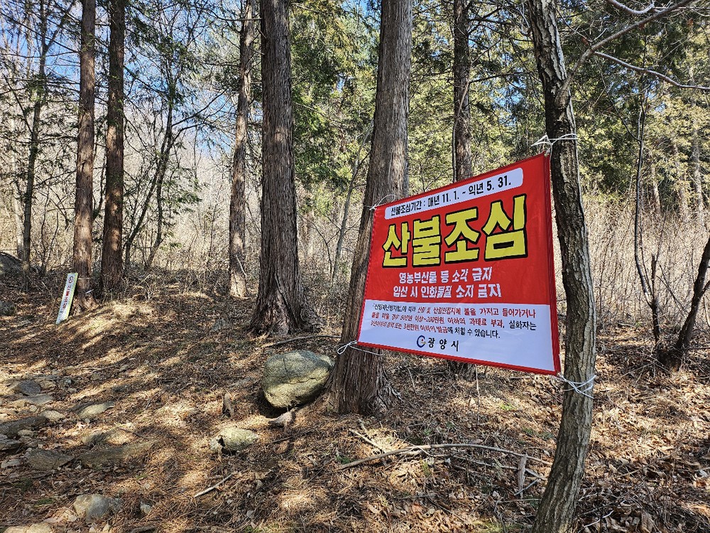 광양시, 산불 예방 위한 현장 중심 기동단속 강화