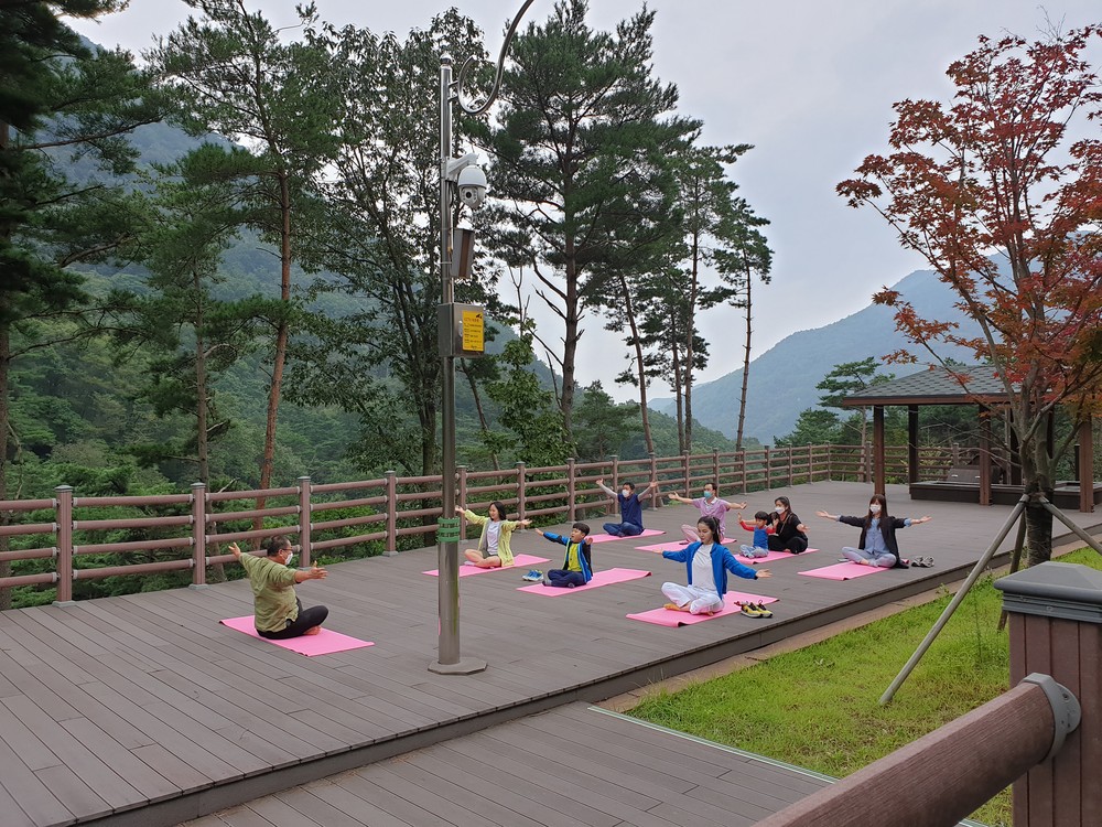 합천 오도산 치유의 숲, ‘2026 우수웰니스 관광지’재지정