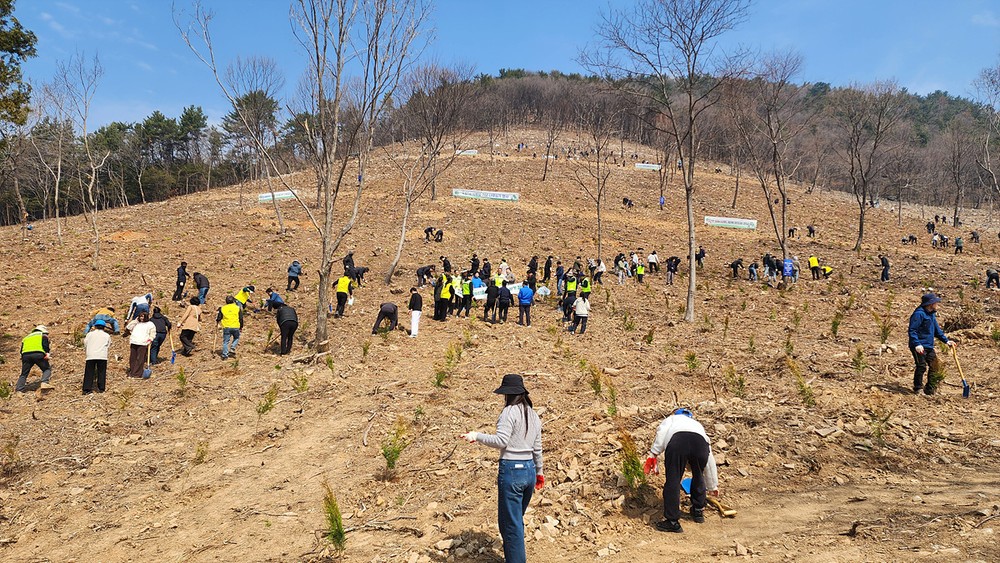 여수시, 제81회 식목일 나무심기 행사 성황리 개최