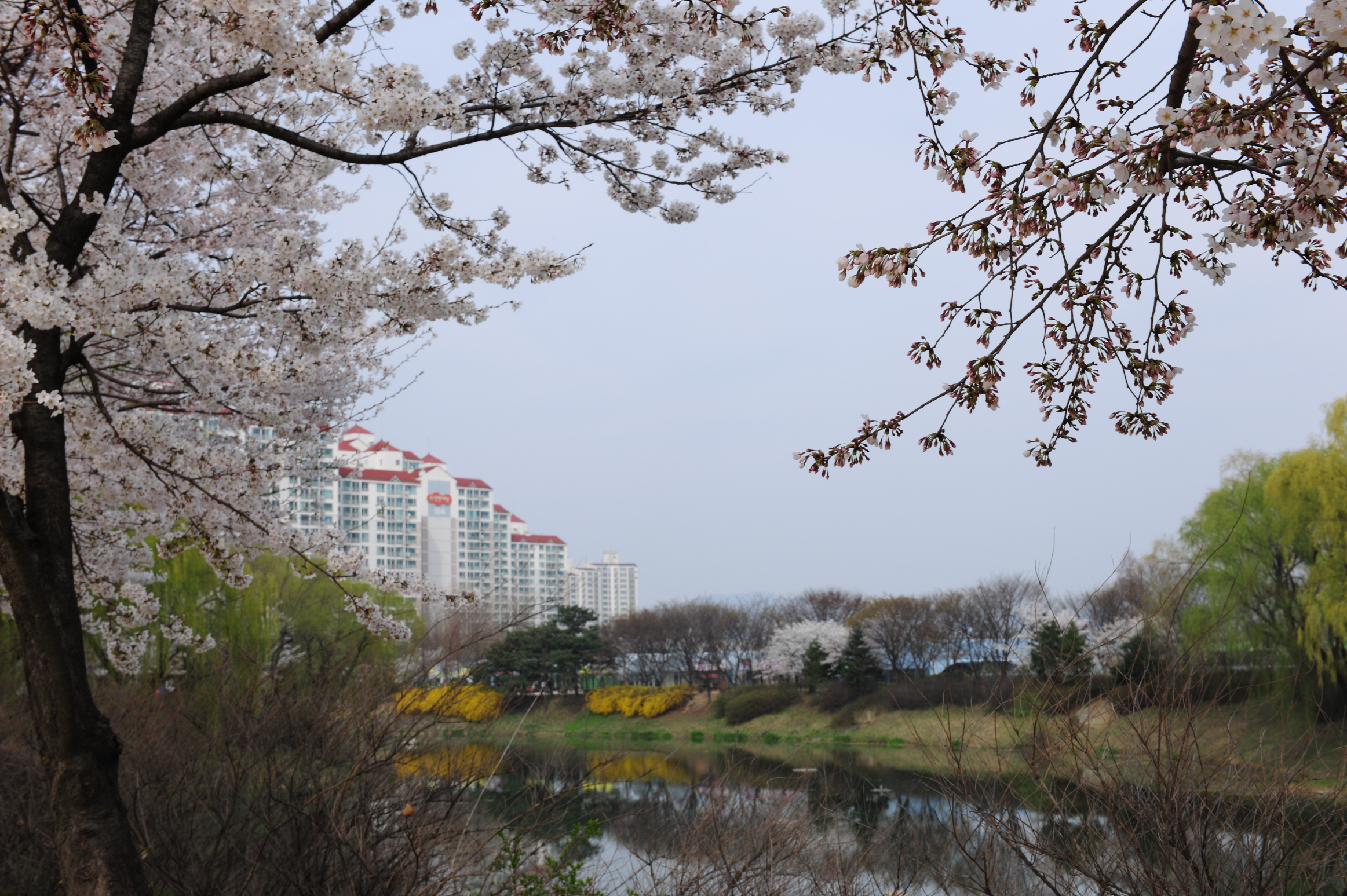 구리시, ‘벚꽃 아래 사회적경제 팝업스토어’ 개최