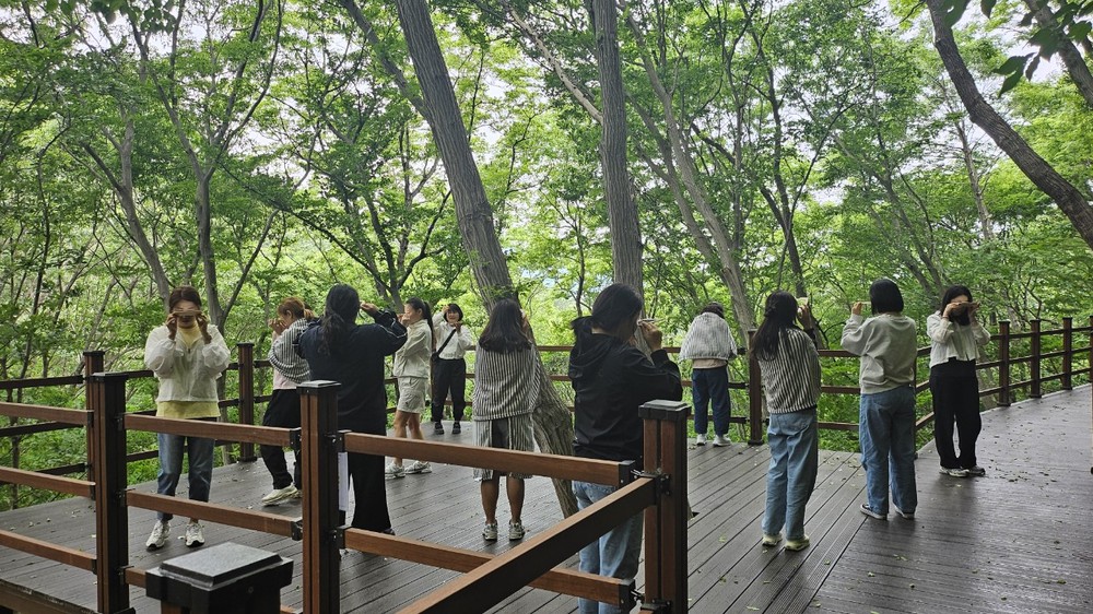 거제 치유의 숲, 2026년 산림치유 프로그램 본격 운영 개시