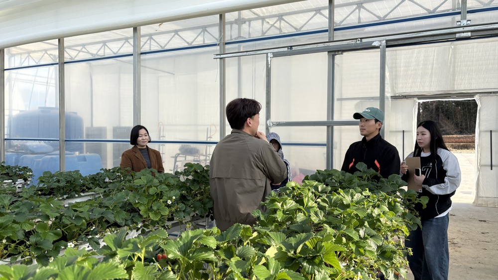 곡성군, 청년농 임대형 스마트팜 전문가 초청 특강 실시