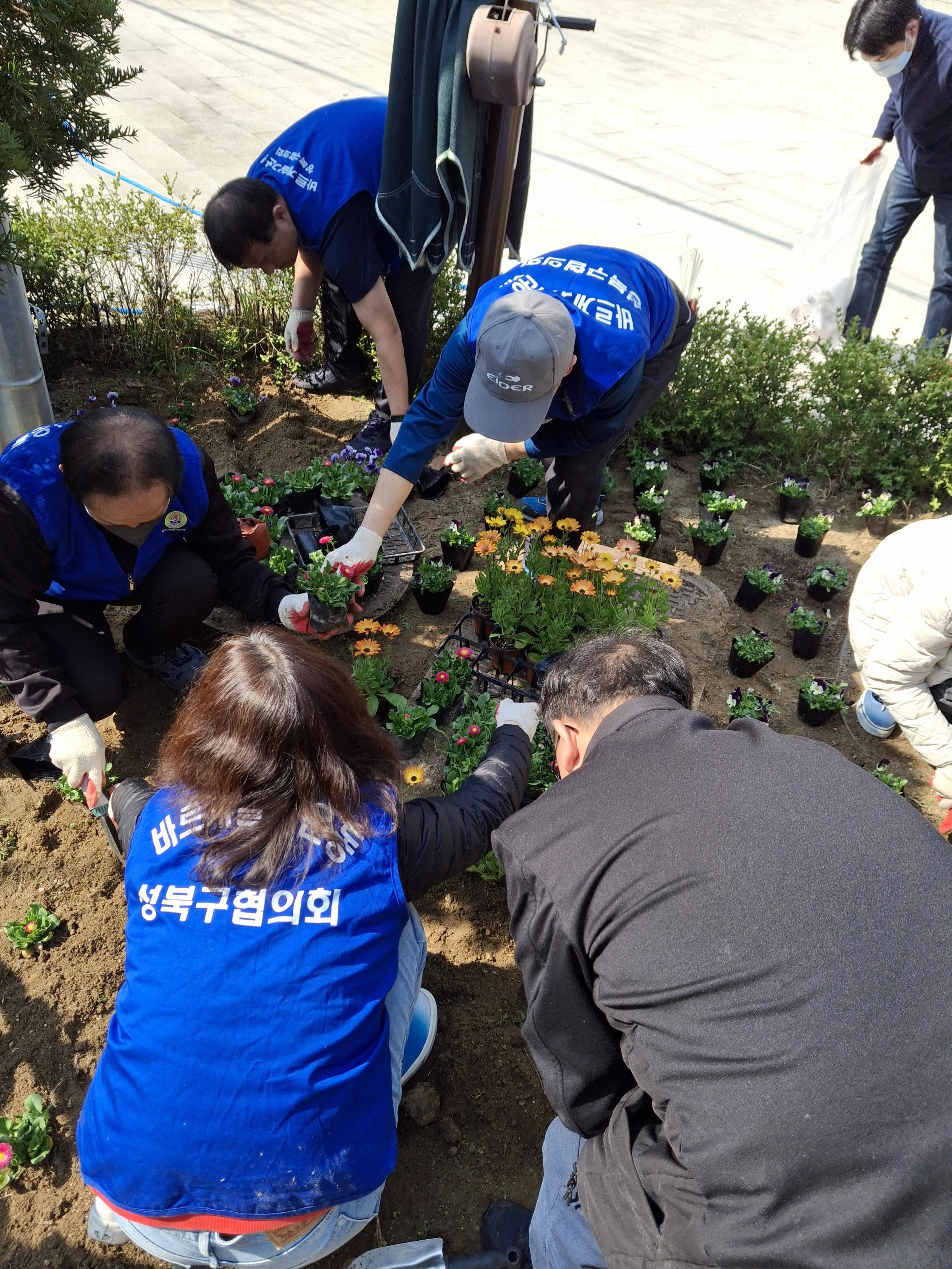 성북구 장위1동 바르게살기위, 향나무공원 환경정화·봄꽃 식재