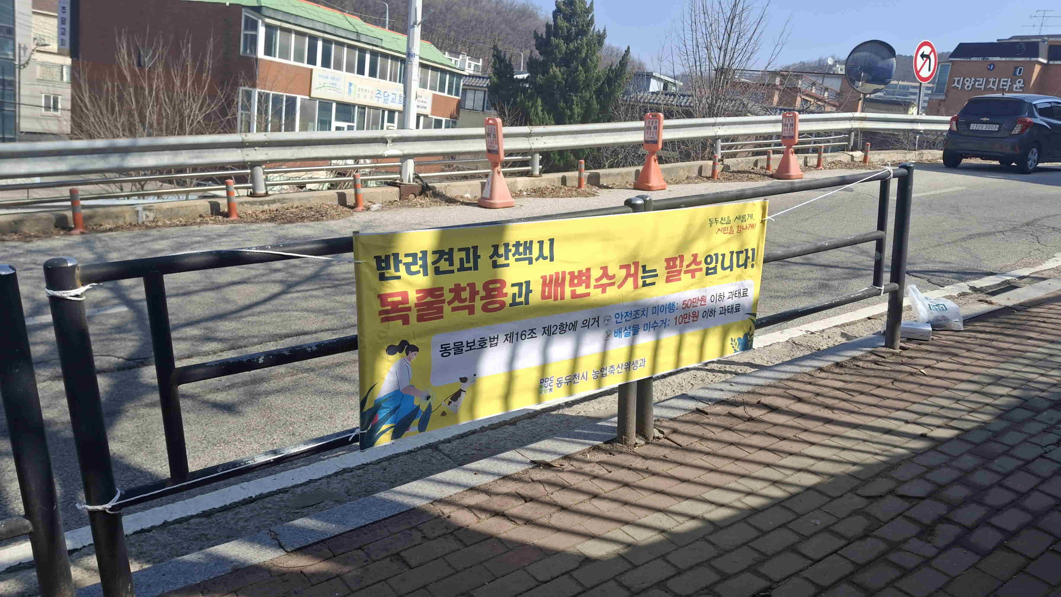 동두천시, 성숙한 반려문화 정착 위한 ‘반려견 배변 수거 및 안전조치 캠페인’ 실시