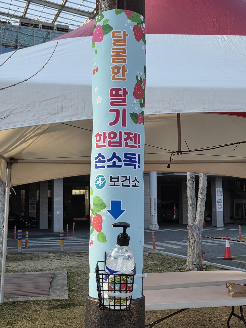 논산시, ‘가로등 손 소독제’로 딸기 축제 위생 강화