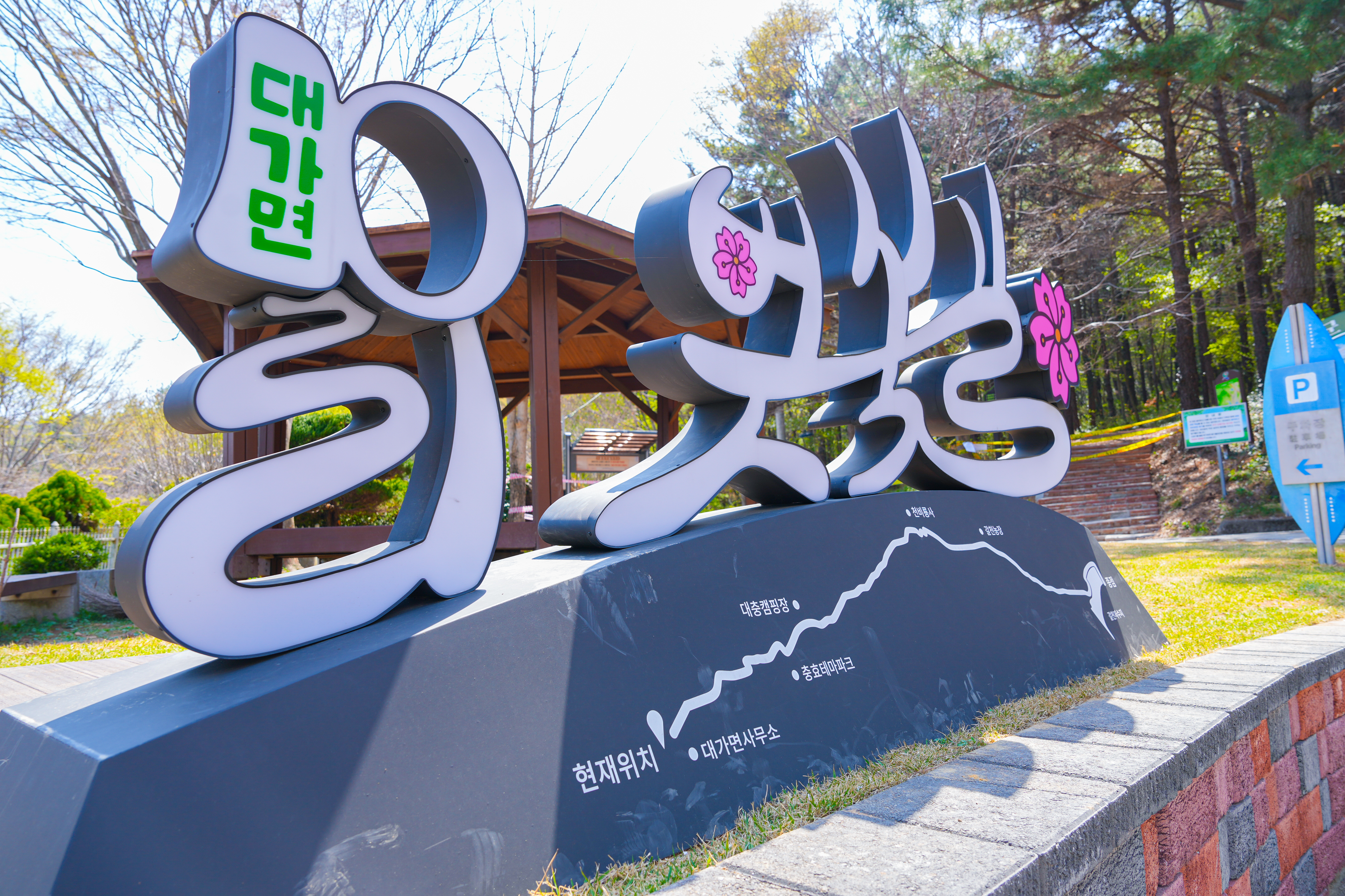 고성군 대가십리벚꽃길, 올해도 경관조명으로 야경 만끽하세요