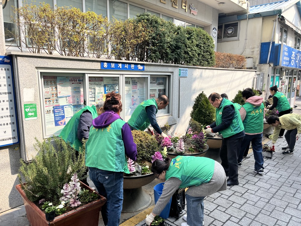 광복동 새마을 단체, 봄맞이 초화 식재로 거리에 따스함을!