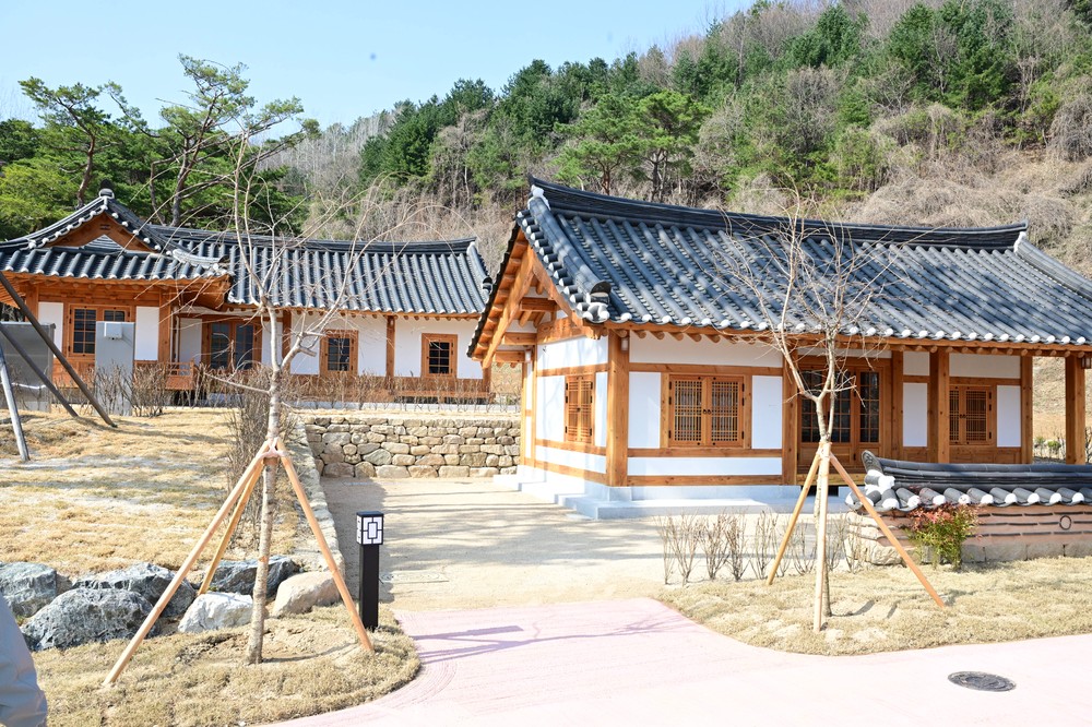 “머물고 싶은 김천” 솔향 스테이 조성 완료