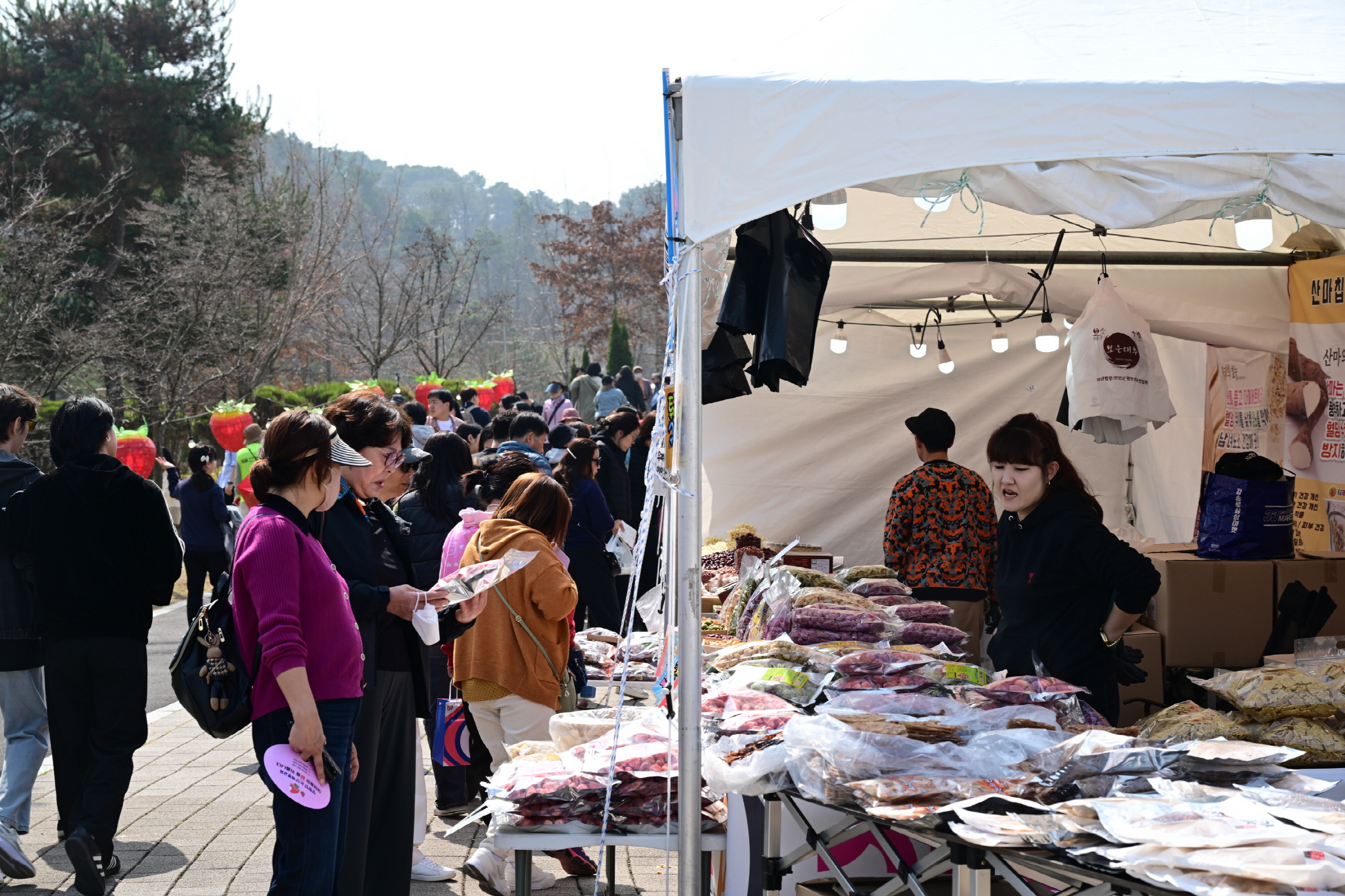 달콤한 논산딸기에 푹 빠졌다, 대기 행렬 이어져