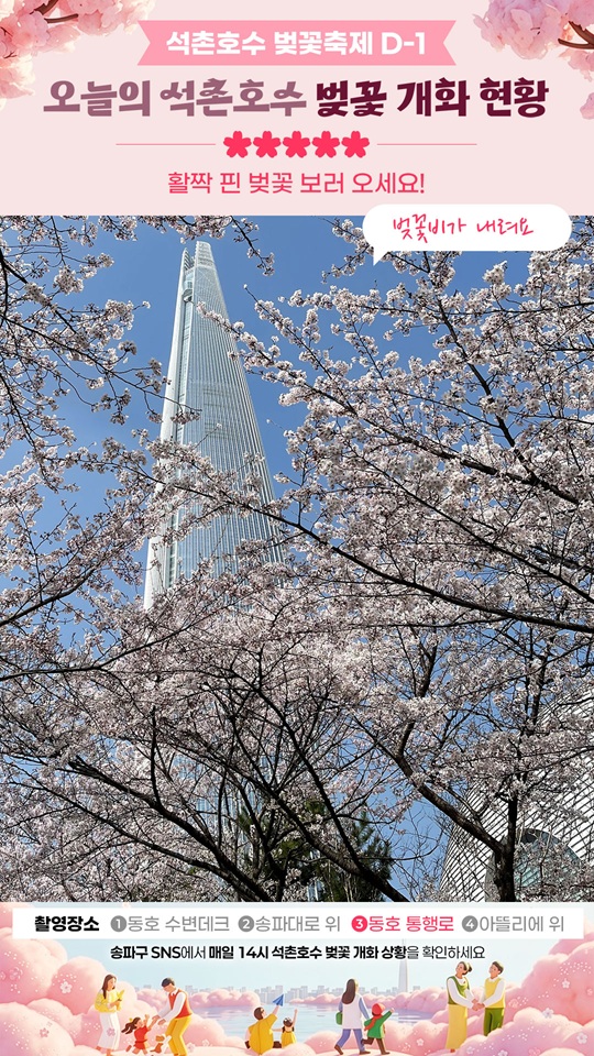 송파구, 석촌호수 벚꽃 개화 현황 실시간 중계…‘벚꽃 개화 카운트다운’ 서비스 운영
