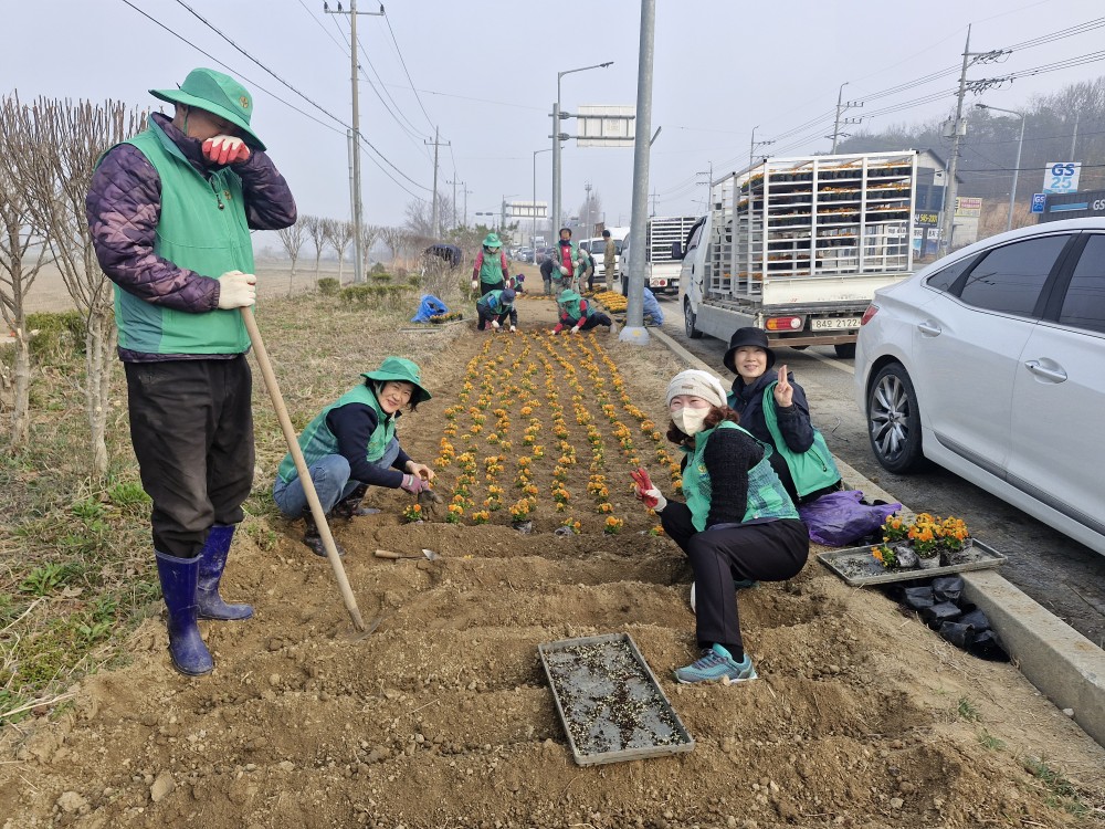 아산시 둔포면 새마을지도자, 봄맞이 꽃묘 식재로 활기찬 마을 조성