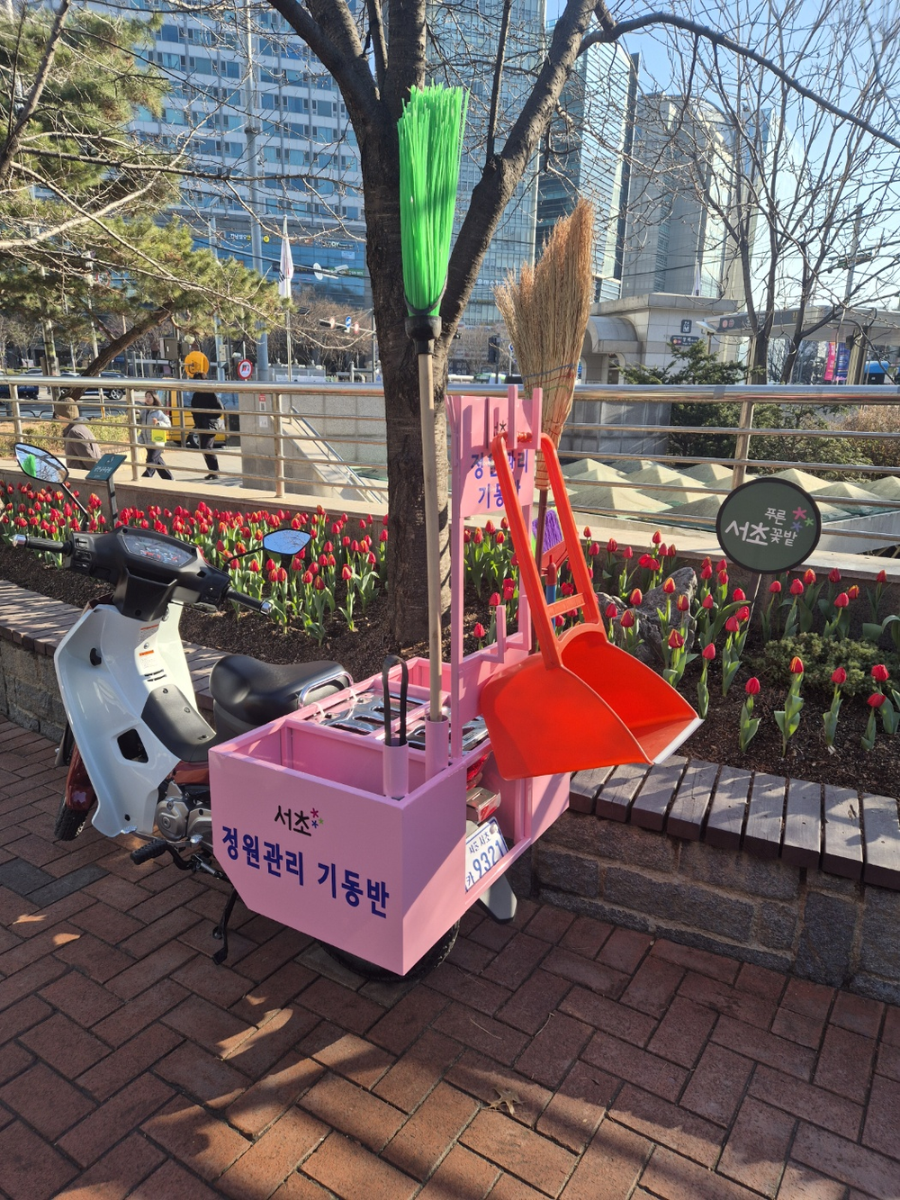 서초구, 4월부터 ‘정원관리 기동반’ 운영… 정원형 가로녹지 관리 나서