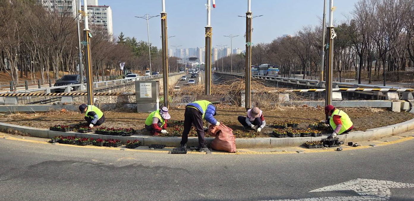 영통구, 봄꽃 식재로 도심 곳곳 ‘화사한 봄단장’