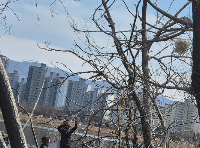 춘천시, 강원노인일자리 공모 대상·최우수 동시 수상