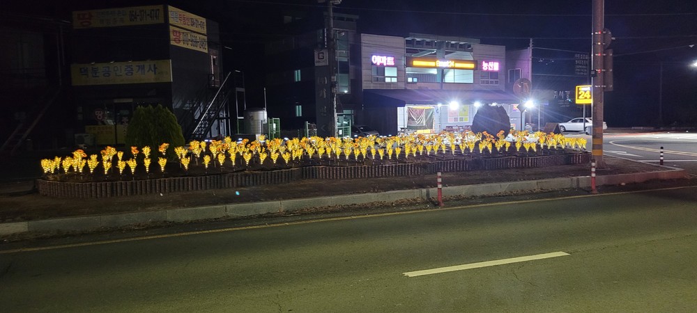 이서면 양원리 교통섬 태양광 조화 조성