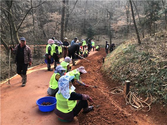영광 물무산 행복숲, 전국 최고 맨발황톳길 4월 1일 개장