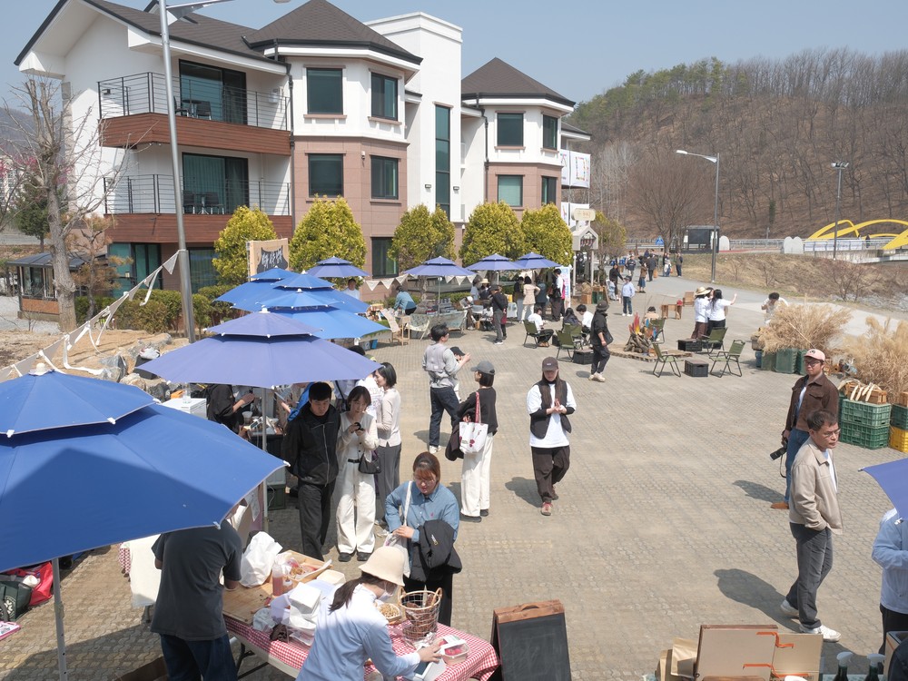 영월 청령포 ‘쪼매장’성황...1,500명 참여·청년 로컬마켓 주목